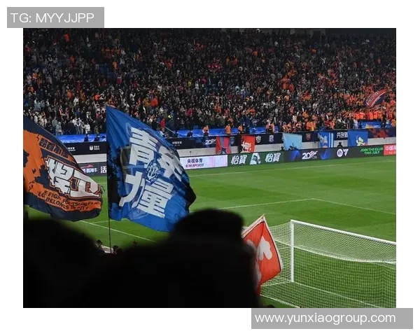 纵览足球历史五百巨星辉煌时刻与传奇风采