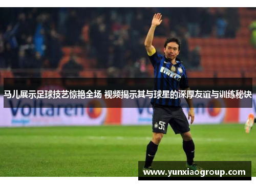 马儿展示足球技艺惊艳全场 视频揭示其与球星的深厚友谊与训练秘诀
